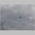 Flugtag _Lehrte_2010_132.jpg